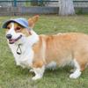 Safety Dogs Cats Baseball Caps with Stretch Chin Rope Outdoor Pet Visors Hat