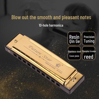 Futurestar 10-Hole C Key Blues Harmonica for Beginners