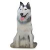 3d Simulated Dog Pillow Animal Doll Creative Doll Cute Sleeping Doll Husky Plush Toy
