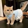 Katzen – Kleidung für Katzen