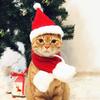 2Pcs/Set Christmas Dog Scarf Collar Warm Cat Scarf Hat Cozy Pet Neck Warmer for Small Dogs