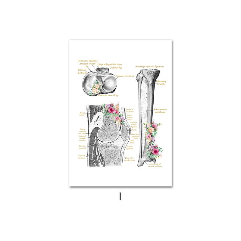 

Цветок Анатомия человека Скелет Холст Картина Структура кости Образование Художественный плакат с принтом настенные панно для современного декора больницы A4 21x30cm No Frame