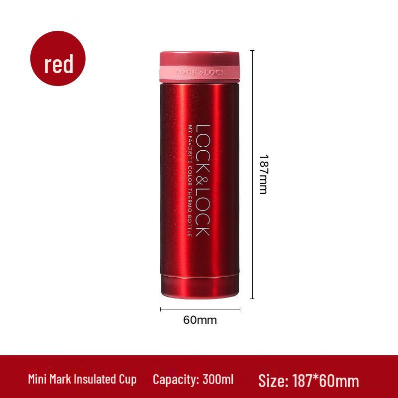 LocknLock Insulated Water Bottle