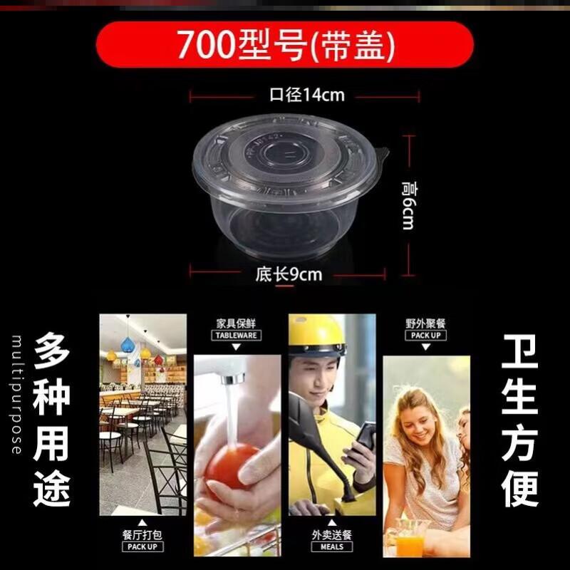 

Biaoxing Disposable Plastic Bowls with Lids