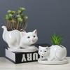 Horticulture Creative Flower Pot Ceramic Cartoon Animal Small Succulent Flower Pot Tabletop Ornament