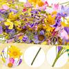 10pcs Spring Artificial Daisies Flower Stems 17 Inches Fake Wildflowers Arrangement Spring Floral Picks with Colorful Daisies and Forsythia