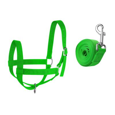 Nylon Cow Halter Training Supplies Heavy Duty Supply Compact Horse Sheep