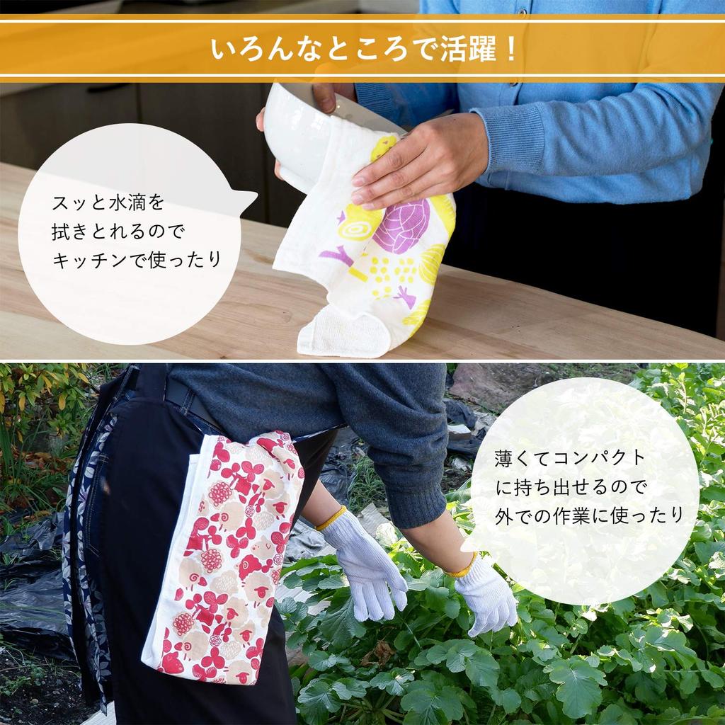 Transparan Gauze Face Palette Gauze Gauze Senshu Cotton Japanese-Made Towels, Towels, 5-Piece Set, Towels, Single-Sided Pile, Single-Sided Fabric,