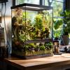 Terrario Oasis Verde 10 - Terrarium 30X30X45 With Kit