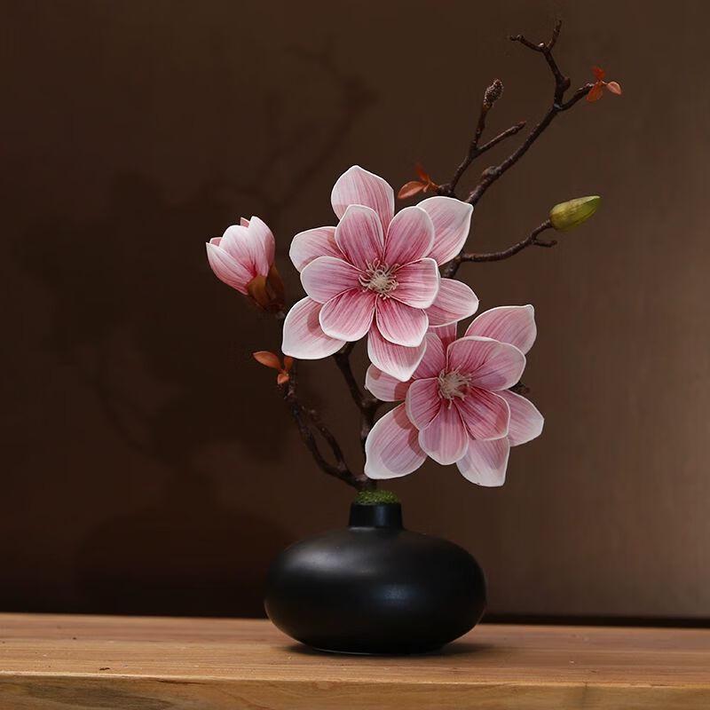 

European Magnolia Flower Art Set