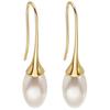 Woman Vintage Pearl Dangle Earrings Gold Color Simple Style Classic Long Hanging Earring Personality Women's Party Jewelry