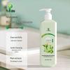 Yi Ji Jing Tea Polyphenol Oil Control & Volumizing Shampoo
