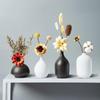 HANDUNYOU Simple Vase & Dried Flower Decor Set
