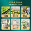 Dried Monk Fruit Herbal Tea 20 Pcs Natural Detox Energy Drink Bulk
