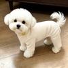 Dog German velvet warm four-legged clothes autumn and winter than bear teddy small dog cat pet bottoming shirt loungewear