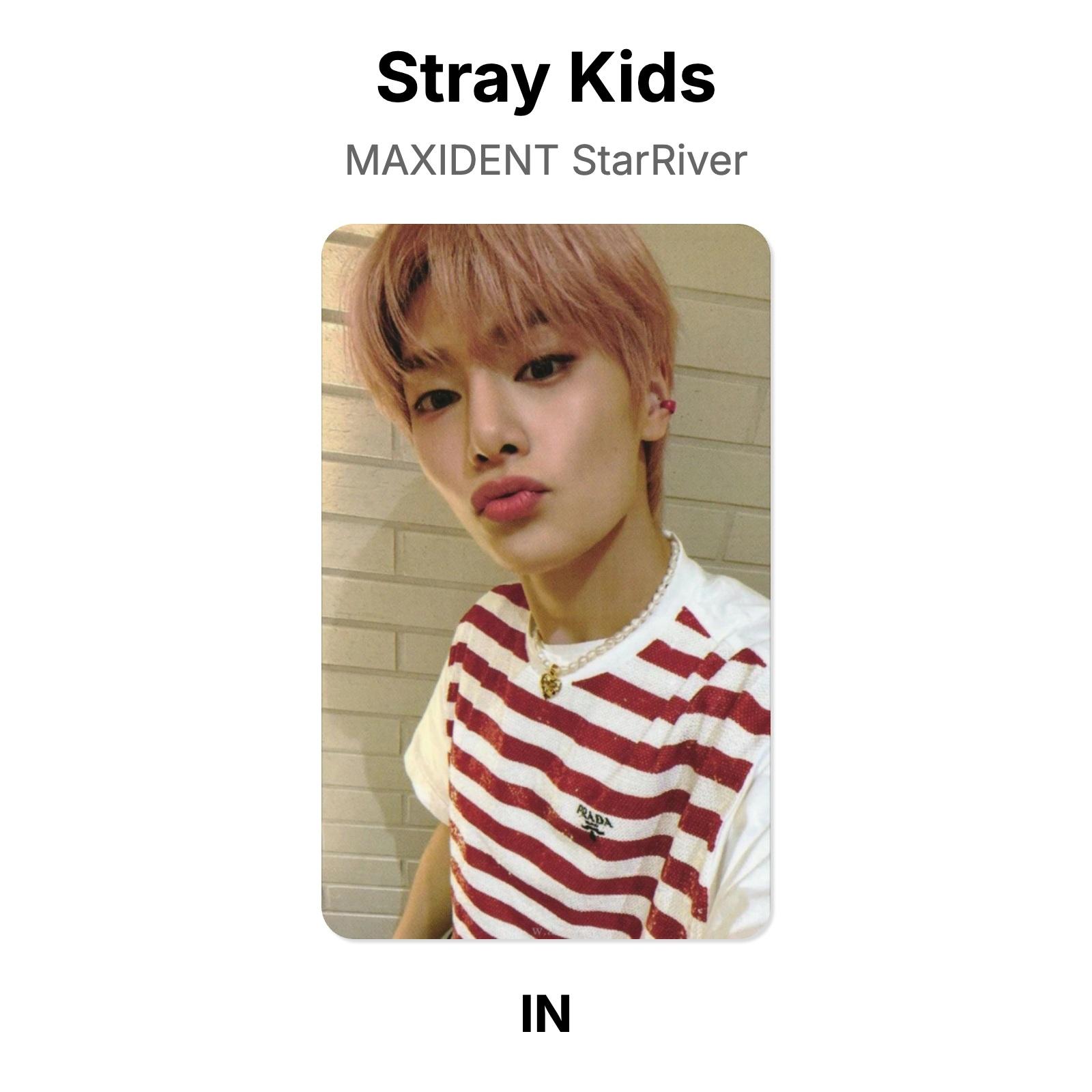Stray Kids MAXIDENT StarRiver Официальная фотокарточка I.N