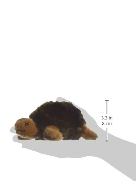 Solo Turtle 20cm Plush Toy