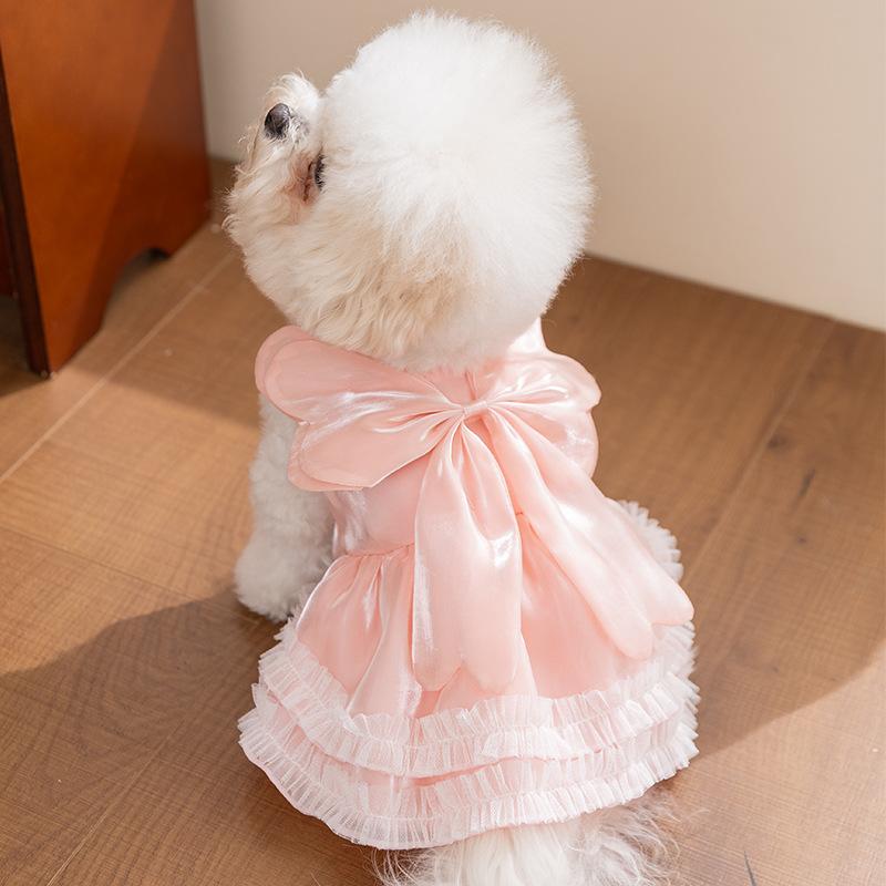 

Cute Princess Pet Dress for Small Dogs & Cats, Lightweight Breathable Summer Clothes, 2 Sizes, Daily & Outdoor Wear M (2.5-4kg)