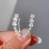 2024 Korean High-End Niche Star Earrings: Elegant, Versatile, Sweet & Cute Style
