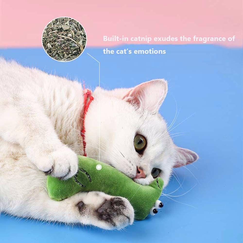 Practical Kitten Scratch Cat Toy Chew Toy Pet Supplies Catnip Toy