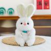 Soft Animal Stuffed Collection Featuring Pig Hippo Plush Toys For Events Kids