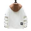 Veste deux pièces de vacances de printemps et d'automne pour hommes, veste à capuche style Hong Kong pour hommes, veste tendance étudiante épaissie style coréen pour jeunes