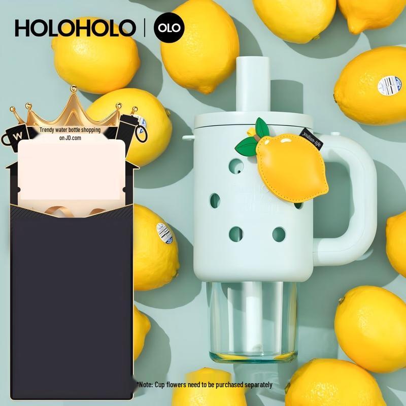 HOLOHOLO 800ml Large Capacity Insulated Straw Cup
