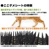 DAIM Not 50cm Wide X 2m Cat Cat Cat Cat Cat Cat Cat Cat Stray Cat Cat Cat Cat Stray Cat Repellent "Kokodame" (Do Enter) Sheet, Roll, Repellent,