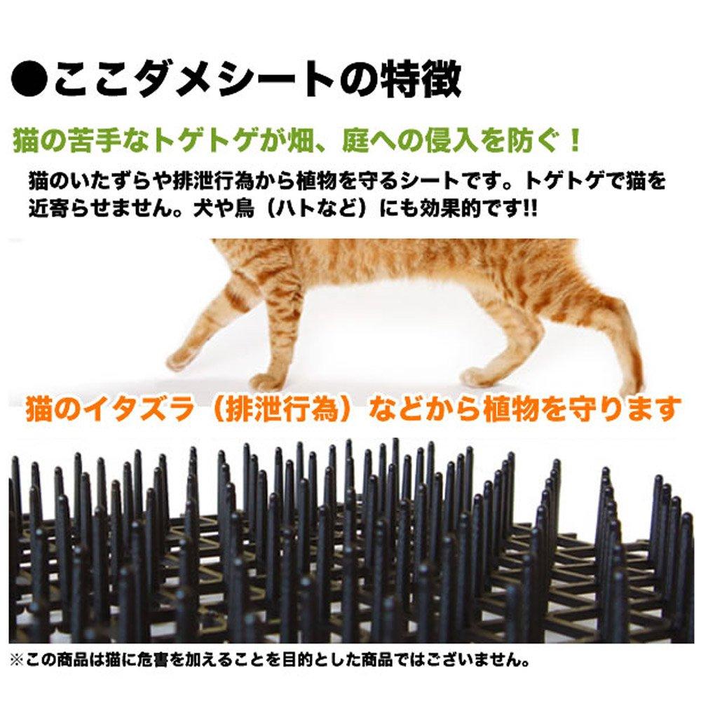 DAIM Not 50cm Wide X 2m Cat Cat Cat Cat Cat Cat Cat Cat Stray Cat Cat Cat Cat Stray Cat Repellent "Kokodame" (Do Enter) Sheet, Roll, Repellent,