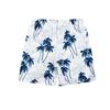 Casual Beach Pants Printed Swimming Trunks Men's Adult Loose Shorts Men's Large Size