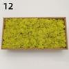 Neue 50/30/10g Künstliche Grüne Pflanzen Ewiges Leben Moos Gras Heim Garten Dekoration Mini Landschaft Künstliche Blume DIY Bastelgeschenke