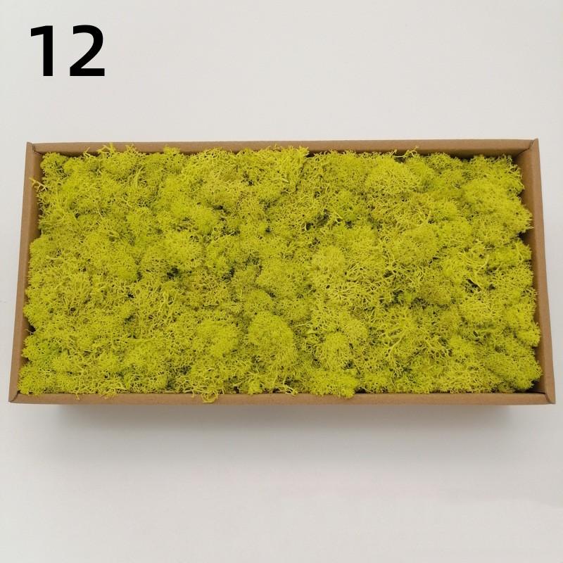 Neue 50/30/10g Künstliche Grüne Pflanzen Ewiges Leben Moos Gras Heim Garten Dekoration Mini Landschaft Künstliche Blume DIY Bastelgeschenke