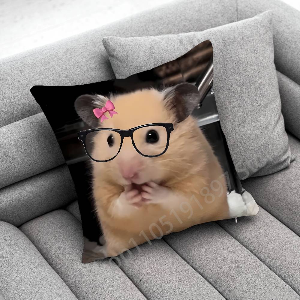 Funny Sad Hamster Meme Throw Pillow Case For Square Bedroom Pillowcase Cover