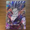 Bandai Dragon Ball Super Divers Cards SDV10-SEC2 Son GohanSH Beast Trading Card