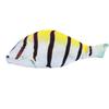 Korean Creative Fish Pencil Case for Boys & Girls, Large Capacity, Simulated Salted Fish Design