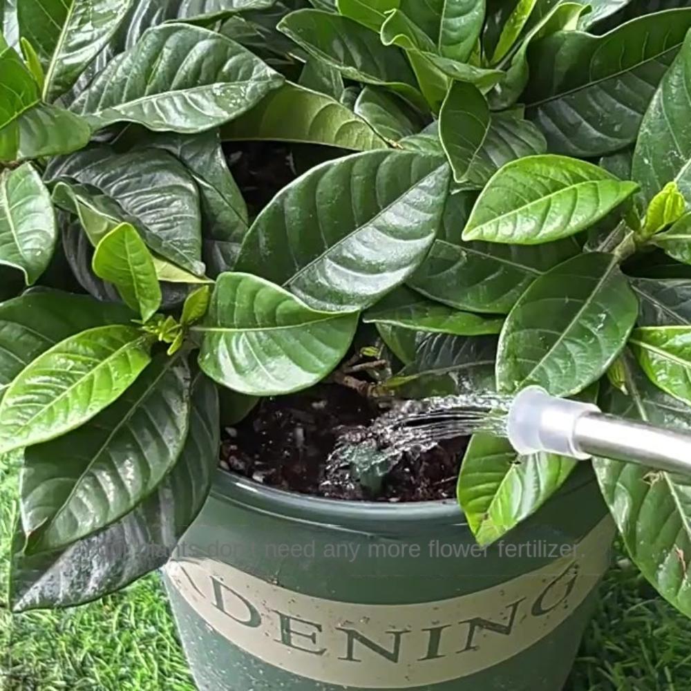 5 Krabiček 150 Kořenů Květinová Rostlina Kořenový Stimulátor Živá Půda Květináčová Rostlina Tyčinka Pěstování Květin