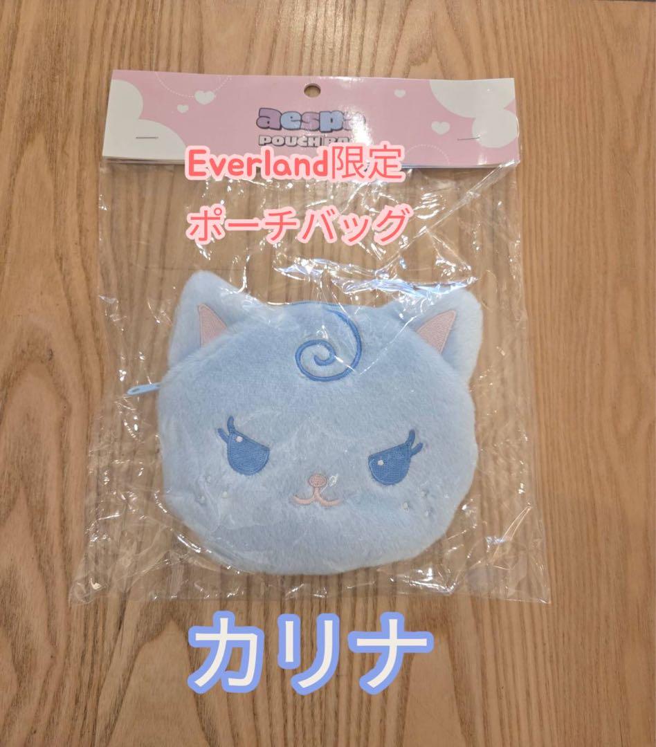 

[USED] aespa Everland Limited Edition Pouch Bag Karina