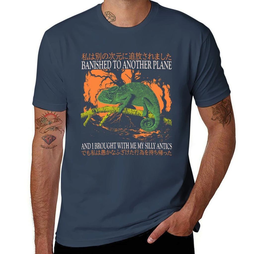Banished Chameleon Vintage Japanese TShirt Basic Daily Outfit Short Sleeve Tee