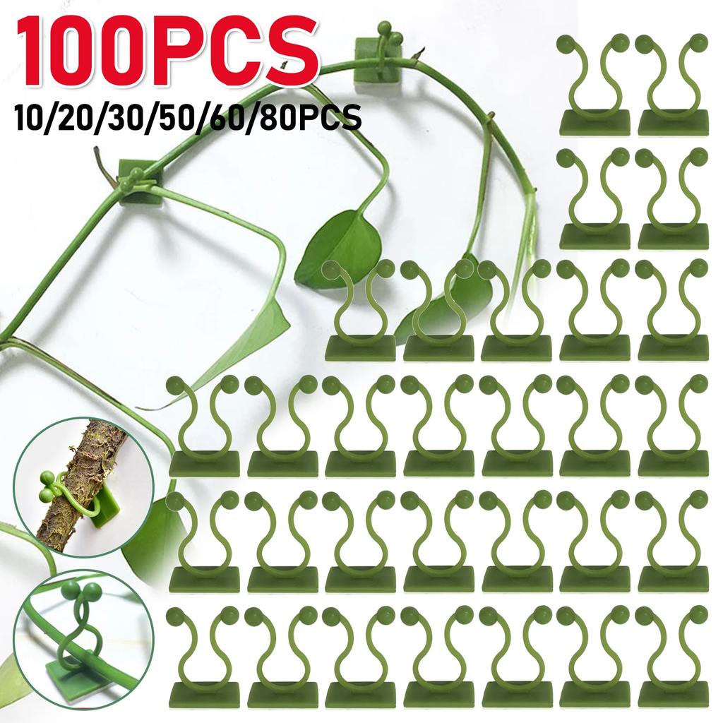 100-10PCS Plant Climbing Wall Self-Adhesive Fixed Buckle Hook Fastener Tied Fixture Buckle Garden Plant Wall Climbing Vine Clips