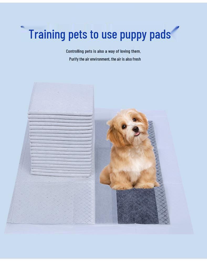 Pet & Dog Diapers: Thick, Absorbent, Cat Training Toilet Supplies