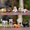 Cat Family Doll Ornaments, Cute and Cute Things, Various Forms, Kitten Desktop Decorations (10pcs)