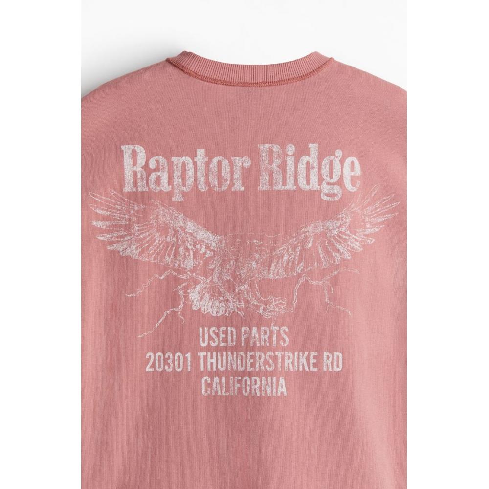 H M PrinTed T sHirT Loose fiT Pink rapTor Ridge