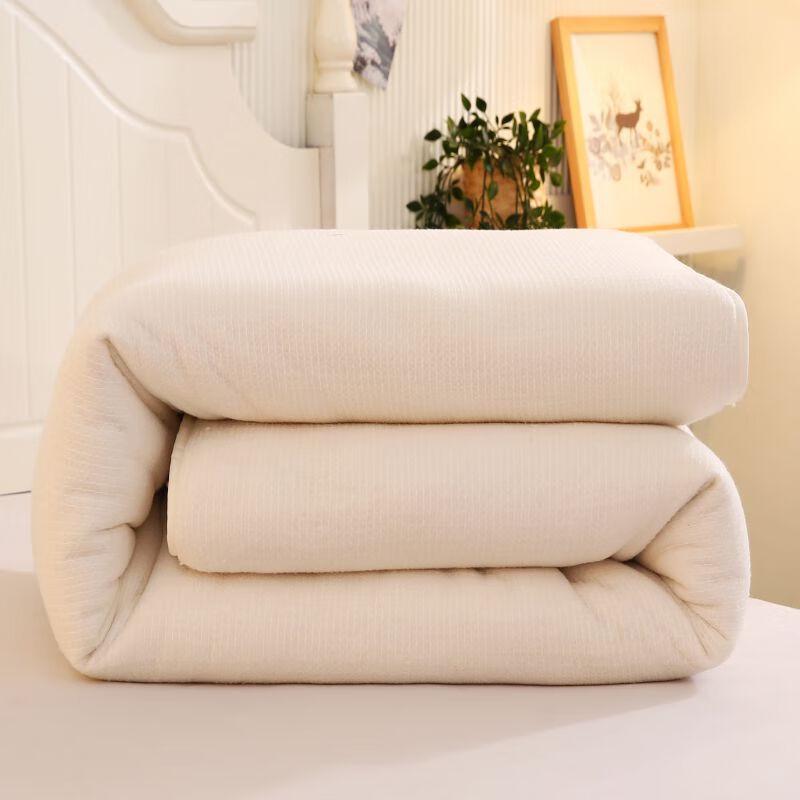 Xinjiang Long-Staple Cotton Winter Duvet