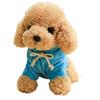20cm Plush Toy Poodle with Detachable Hoodie, Sitting Position, Fluffy, Puppy, Body Pillow, Teddy Bear Dog, Teddy Poodle, Plush Toy, PP Cotton