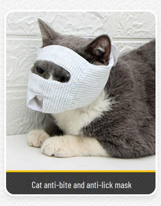 Breathable Cat Recovery Suit: Elastic, Anti-Lick Sterilization & Weaning Garment for Female Cats