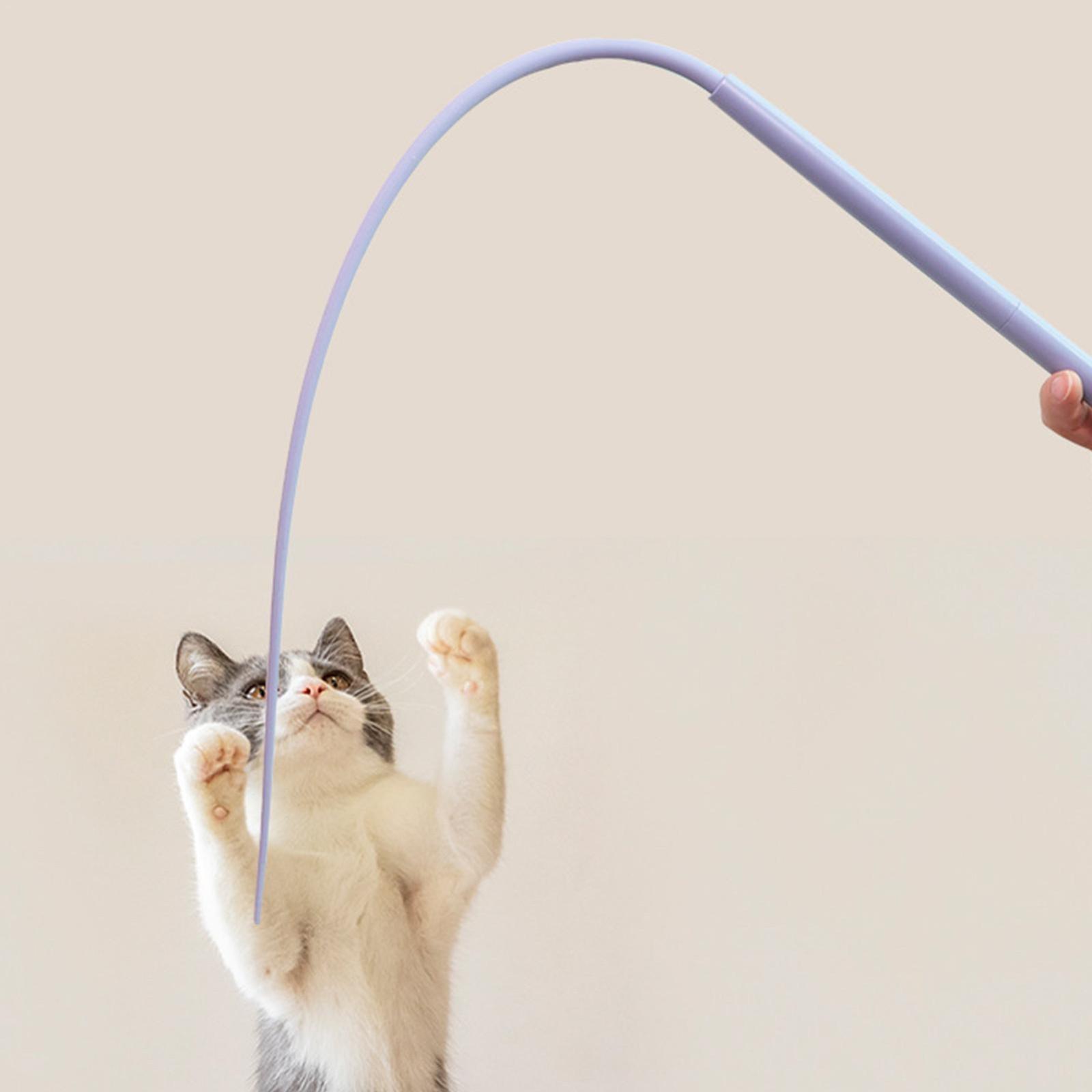 

Іграшкова паличка для котів, іграшки для котів Інтерактивні іграшки для котів для домашніх котів Силіконова іграшка-дражнилка для хвоста Іграшки для котів для нудних дорослих котів Безпечна силіконова іграшка для котячих паличок One Size синій