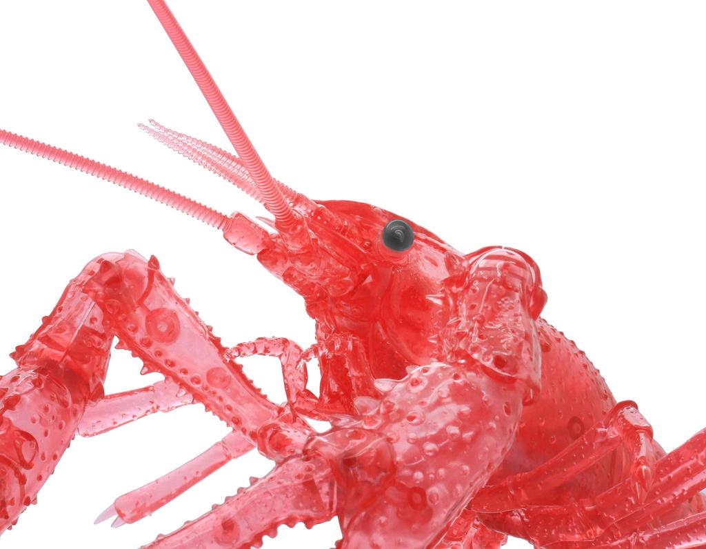 Free Research Series 24 Living Creatures Edition American Crayfish Plastic Model No. EX-4 (Clear Red)