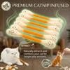 Creative Large Cotton Swab Shaped Catnip Toy 6-Pack Giant Kitten Grinding Biting Stick Durable Teeth Cleaning And Grinding Rope