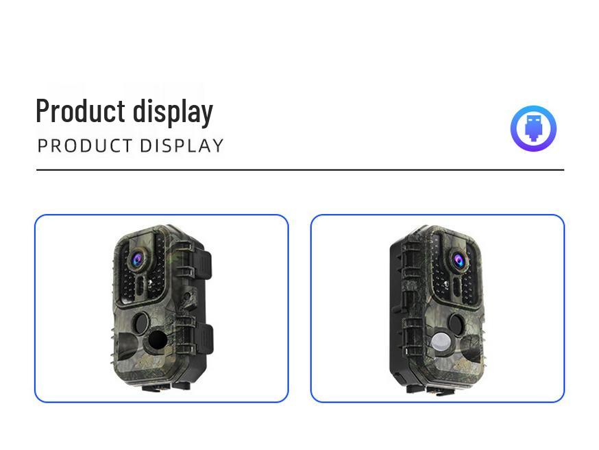 HD Night Vision Wildlife Camera: Forest Monitoring & Waterproof Infrared Sensor for Tracking and Hunting