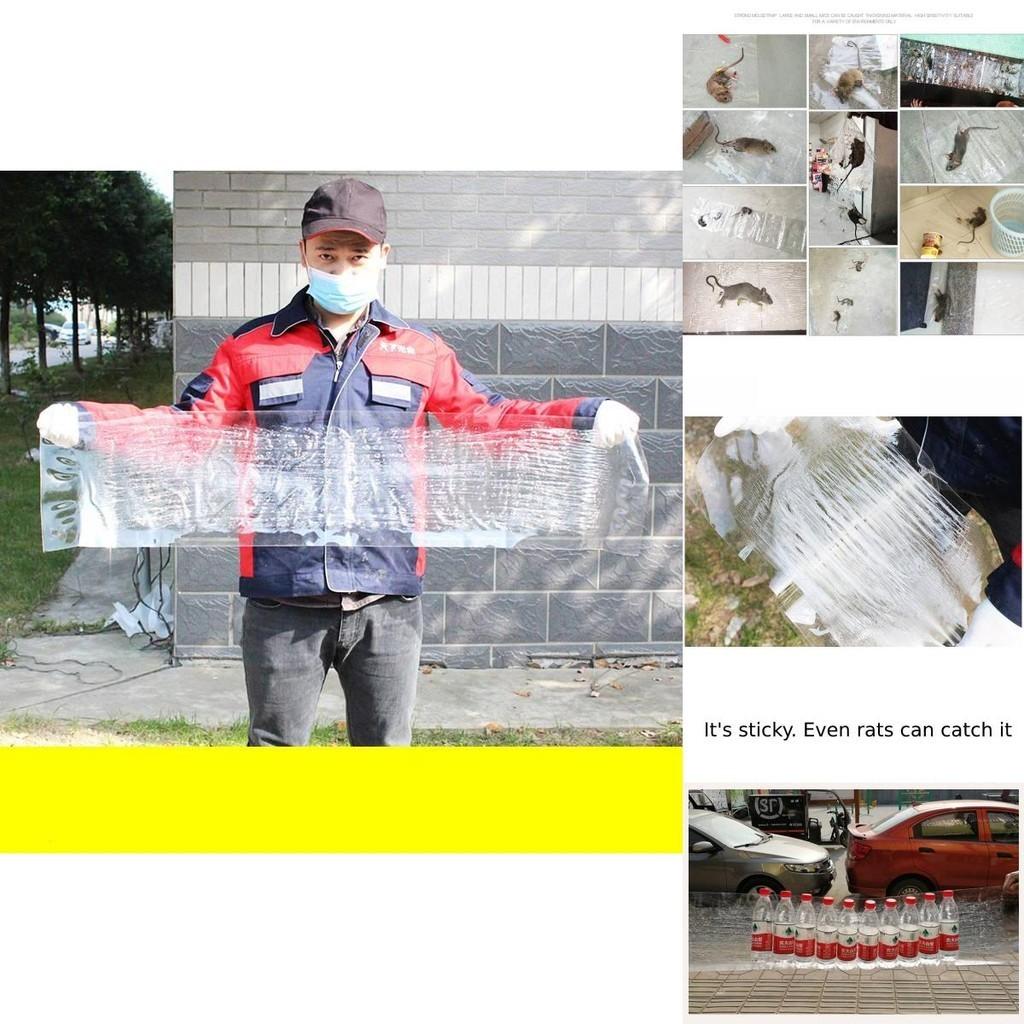 Invisible Transparent Mouse Trap Mat For Catching Rodents In Home Use Strong Adhesive Sticky Pad For Rat Control X 28cm)